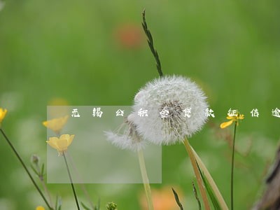 无锡公积金贷款征信逾期