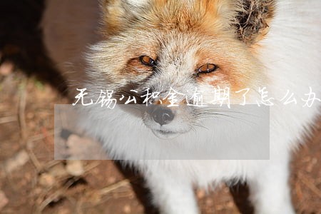 无锡公积金逾期了怎么办 无锡公积金逾期了怎么办