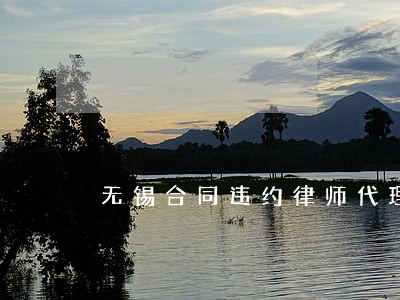 无锡合同违约律师代理费 无锡合同违约律师代理费