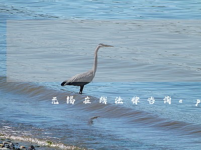 无锡在线法律咨询app 无锡在线法律咨询app