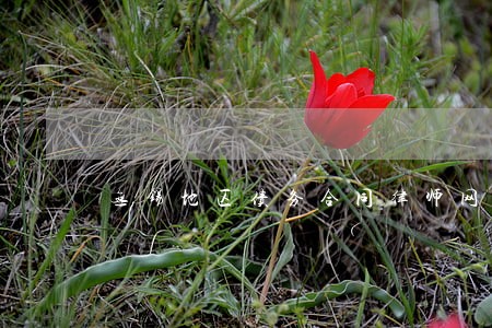 无锡地区债务合同律师网 无锡地区债务合同律师网