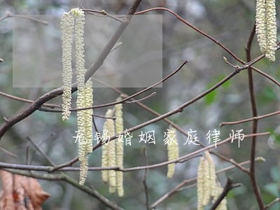 无锡婚姻家庭律师 无锡婚姻家庭律师