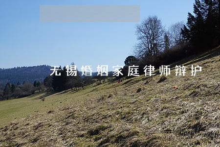 无锡婚姻家庭律师辩护 无锡婚姻家庭律师辩护