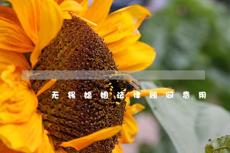 无锡婚姻法律顾问费用 无锡婚姻法律顾问费用