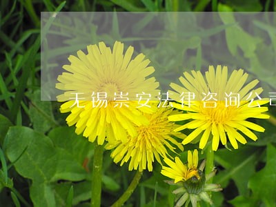 无锡崇安法律咨询公司