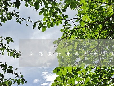 无锡工行开非恶意逾期 无锡工行开非恶意逾期