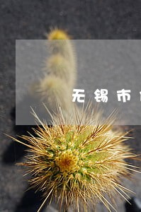 无锡市债务官司律师多少钱 无锡市债务官司律师多少钱