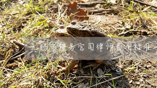 无锡市债务官司律师费用标准