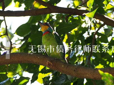 无锡市债务律师联系方式 无锡市债务律师联系方式