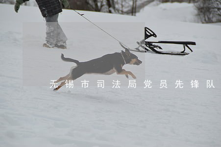 无锡市司法局党员先锋队 无锡市司法局党员先锋队