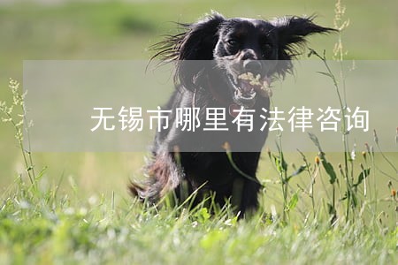 无锡市哪里有法律咨询 无锡市哪里有法律咨询
