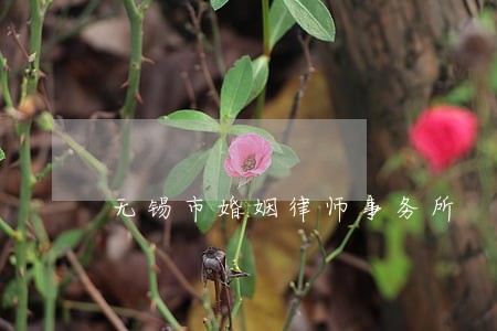 无锡市婚姻律师事务所