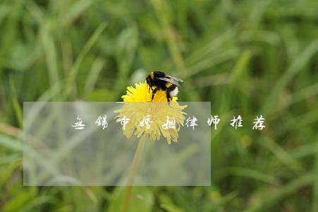 无锡市婚姻律师推荐 无锡市婚姻律师推荐