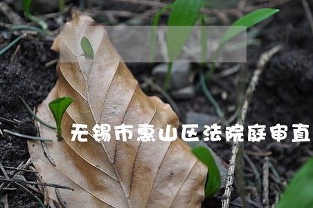 无锡市惠山区法院庭审直播 无锡市惠山区法院庭审直播