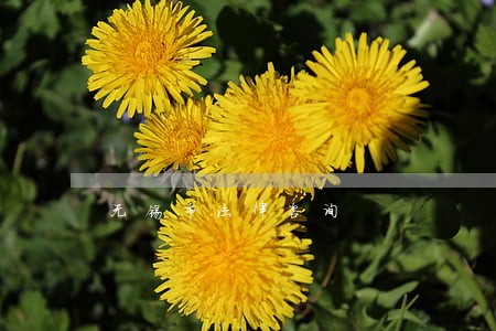 无锡市法律咨询 无锡市法律咨询