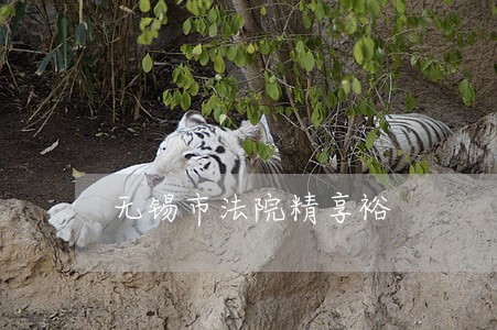 无锡市法院精享裕 无锡市法院精享裕