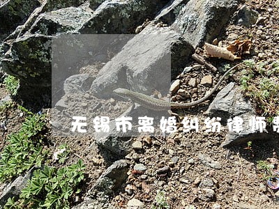 无锡市离婚纠纷律师费用 无锡市离婚纠纷律师费用