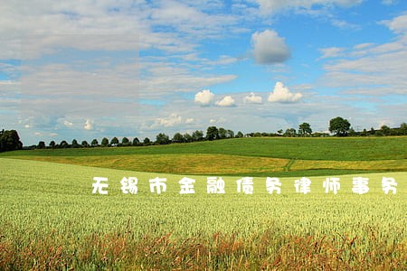 无锡市金融债务律师事务所 无锡市金融债务律师事务所