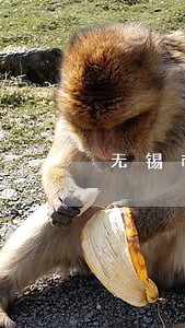 无锡市金融债务律师在线咨询 无锡市金融债务律师在线咨询