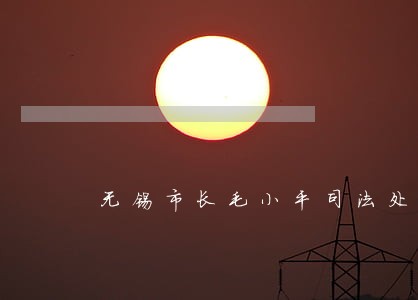 无锡市长毛小平司法处理 无锡市长毛小平司法处理