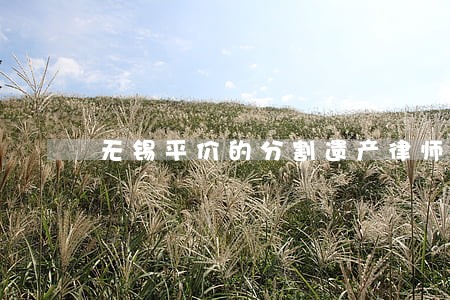 无锡平价的分割遗产律师 无锡平价的分割遗产律师