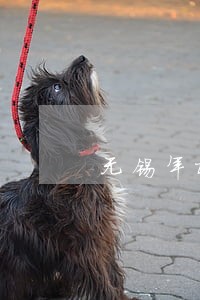 无锡年检逾期一天会怎么样 无锡年检逾期一天会怎么样
