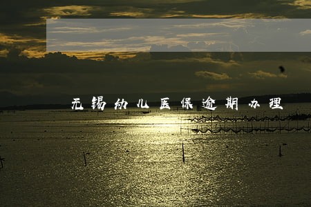 无锡幼儿医保逾期办理 无锡幼儿医保逾期办理