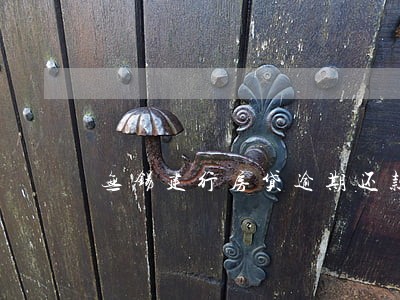 无锡建行房贷逾期还款一天
