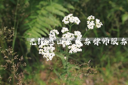 无锡惠山区债务律师服务范围 无锡惠山区债务律师服务范围