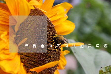 无锡惠山区司法拍卖房源 无锡惠山区司法拍卖房源