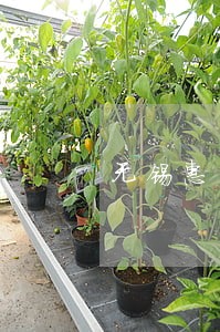 无锡惠山区合同违约赔偿律师电话 无锡惠山区合同违约赔偿律师电话