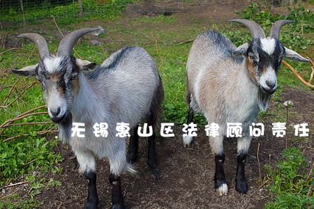无锡惠山区法律顾问责任 无锡惠山区法律顾问责任