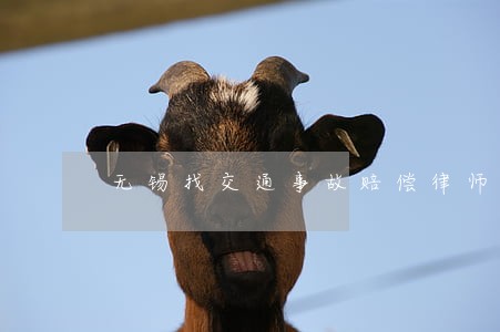 无锡找交通事故赔偿律师收费标准 无锡找交通事故赔偿律师收费标准