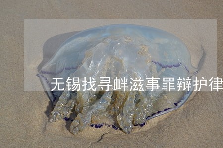 无锡找寻衅滋事罪辩护律师服务网 无锡找寻衅滋事罪辩护律师服务网
