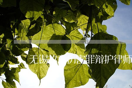 无锡故意伤害罪辩护律师咨询 无锡故意伤害罪辩护律师咨询