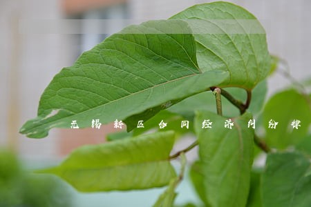 无锡新区合同经济纠纷律师 无锡新区合同经济纠纷律师