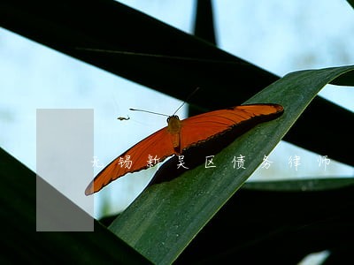 无锡新吴区债务律师 无锡新吴区债务律师