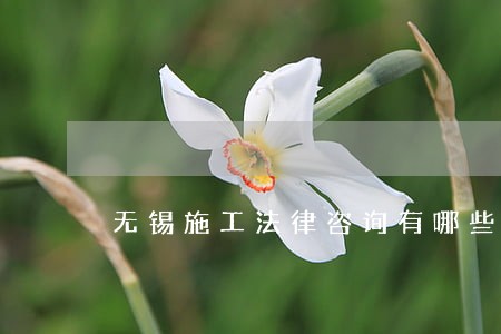 无锡施工法律咨询有哪些 无锡施工法律咨询有哪些