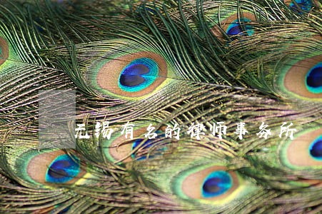 无锡有名的律师事务所 无锡有名的律师事务所