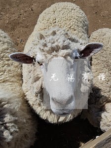 无锡有经验的股权纠纷律师找哪里 无锡有经验的股权纠纷律师找哪里