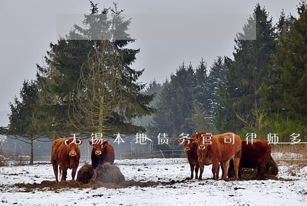 无锡本地债务官司律师多少钱 无锡本地债务官司律师多少钱
