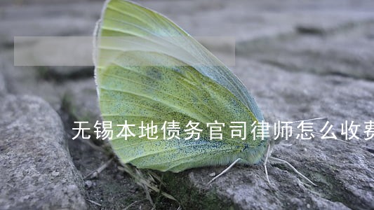 无锡本地债务官司律师怎么收费 无锡本地债务官司律师怎么收费