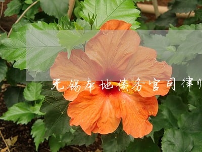 无锡本地债务官司律师风险代理 无锡本地债务官司律师风险代理