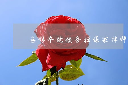 无锡本地债务担保案律师服务 无锡本地债务担保案律师服务
