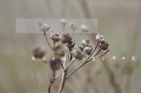 无锡本地债务案子律师团队