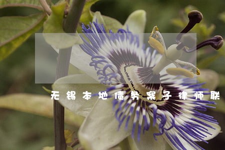 无锡本地债务案子律师联系方式 无锡本地债务案子律师联系方式