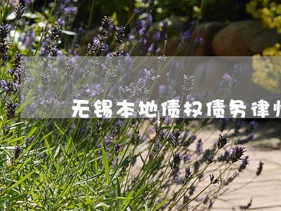 无锡本地债权债务律师电话咨询 无锡本地债权债务律师电话咨询