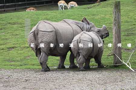 无锡本地减刑辩护律师推荐 无锡本地减刑辩护律师推荐