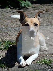 无锡机动车年检逾期新规定 无锡机动车年检逾期新规定