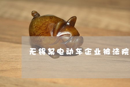 无锡某电动车企业被法院拍卖
